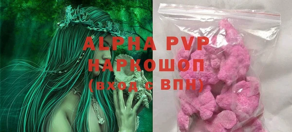 хмурый Абаза