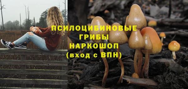 дмт Абинск