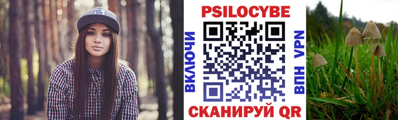 ссылка на мегу tor Плавск Галлюциногенные грибы Cubensis дарнет шоп